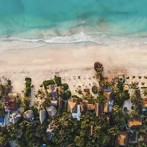 https://casa-violeta.tulum-hotels.net